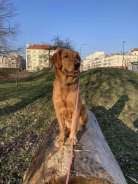 ae3ade91126af8f82cb69faee85657c9_138x184_fill