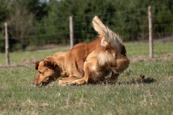 ae524b074c3fdba2f4321c942f3f3d39_246