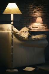 aeb747189bf90d960012bfaf8ad6ba8f_164x246