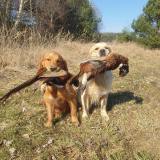 aec60d0445422bb9dd2109a74e1be1b2_160x160_fill