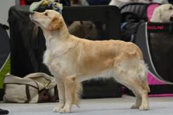 af01ca008a690f4eada156a5354e6bd5_246