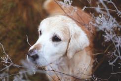 af36b59681d71bb1c8426263996d82a8_245