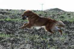 af8f46ec71395e9c70862ab9912c0055_246x164_fill