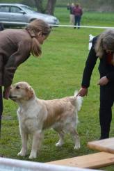 af9eaf1303c92308a990d7157619bc6b_164x246