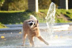 afa69ff30dc3afcf746fe31a83c7546a_245