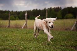 b010142679a94ea989f620acf3e2f0c3_246x164_fill