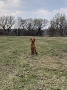 b0219295d01b3fc04ba389a0c6afa7bf_138x184_fill