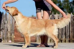 b093da6bc7f3136132be13f427dc2038_246x164_fill