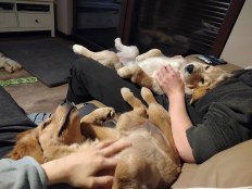 b0cee83ff85b87f005fc3197d557d400_232x174_fill