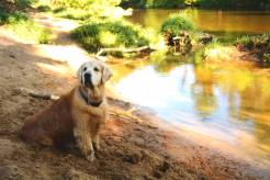 b0e5aed3f717bed54d47639c5bd6b082_246x164_fill