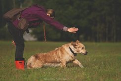 b0fcea0c3e63c423c9d4f9b60f98301f_245