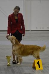 b10877ced302645e09e40f4954c1a607_164x246