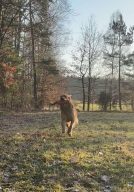 b11413ac9b7007e93814cd6798bca8c7_134x192_fill