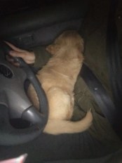 b1174e5f2a152595e8fcbd684c0ba1e6_174x232_fill