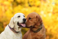 b12fbd963c1b082b23a2af5de84097cc_245