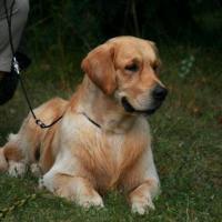 b13331e818ae6ee4106a0821911beff4_200x200_fill