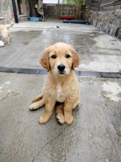 b154c316312730e59fd5d3d156432633_174x232_fill