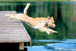 b18747b10c1f201d5598866221dc72e4_245