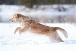 b18cef7d5a618ab331317d28012603c2_245