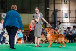 b19c69b29fb6a3ede78d19445ddcce29_246