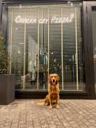 b1b84756ba54eb24f17c370e9d182e38_138x184_fill