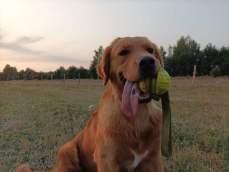 b1f90f32a9aa4c407c750908e5fa539e_229