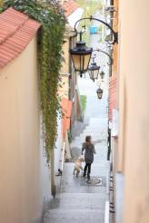 b209faa887b69005111444f505dc171c_164x246_fill