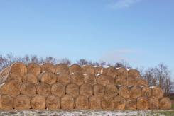 b223ad1386559be8781f6c73f0e7db70_245