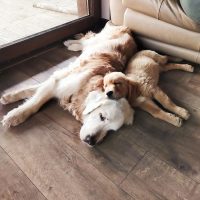 b22a758f07749436984b7444154f01cd_200x200_fill