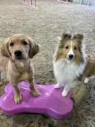 b270dfd487cf6684de7554caffef7a78_138x184_fill