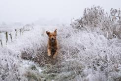 b28526e4799bc199f82c9e222651c7ba_246x164_fill