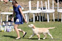 b2eb5be883ac8ef6624e087158a215c9_245