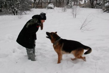 b31d0f146a4ddd2bc2f65b10d4549362_366