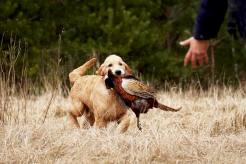 b3299b0742542935bfc2adebe3102289_246x164_fill