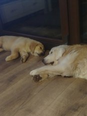 b32ecde513dd86ed8a91f6cd4d238f19_174x232_fill