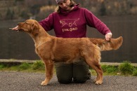 b38d814d0067d344bc23ef6dcbdfe129_195