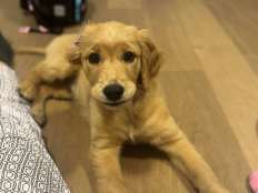 b3a9d25bb85cac1e7ea71e41f0a3ceb1_232x174_fill