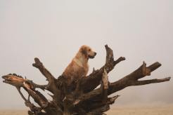 b3a9d4233dab9f0e1ea627bc292a6609_246