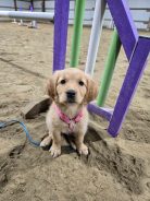 b3ac988c5b95f00b9f31d5159cd0a8c2_138x184_fill