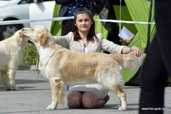 b4308240864af8584022443f3ef337bd_245