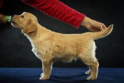 b4311ccffb21719f502e501f8711944c_246x164_fill