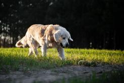 b43b3f047727d5c5ec0fb33e6f24b70c_246x164_fill