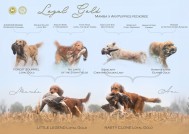 b43fb8efe19406bd4d01695939066787_189