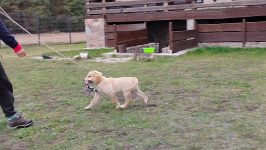 b44e56eaeabf08e8f7f5f40406ca3777_266