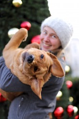 b45a09fb281ef3933e887e01659c6b78_164x246