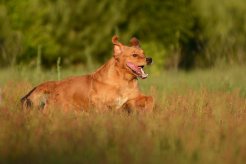 b49bc186e5157be5606182f54d39b8cd_246