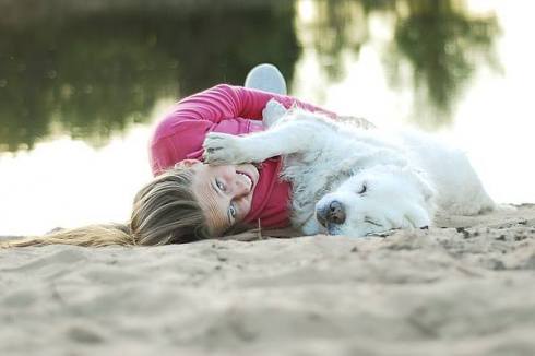 b49eed64375d56bf2ae4985df442ec91_490