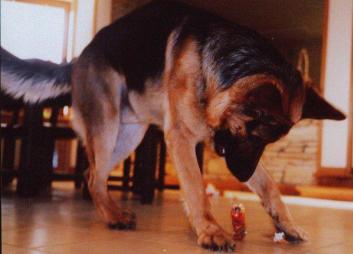 b4a4478ffad66d96392569be200e4109_353