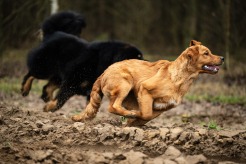 b4be7598d16c04a4e6451ed045b66954_246