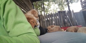 b4dfbbb73df4bace36c2c2b2b20106fe_283